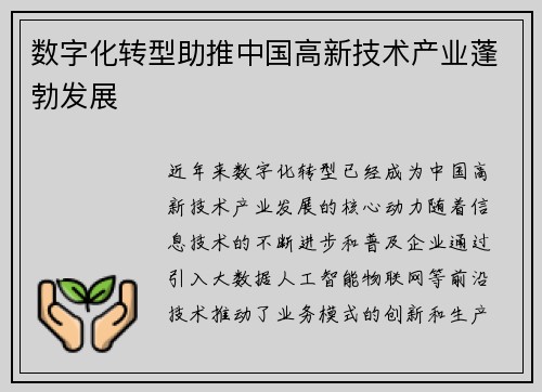 数字化转型助推中国高新技术产业蓬勃发展