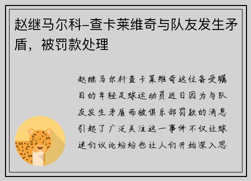 赵继马尔科-查卡莱维奇与队友发生矛盾，被罚款处理